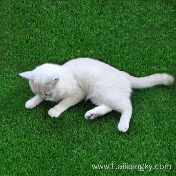 Turf For Backyard With Dogs Cats